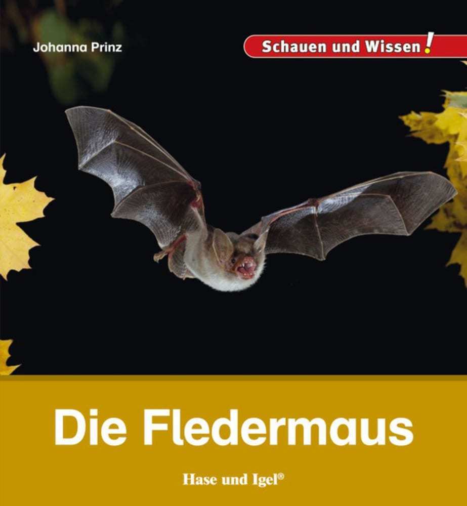 Die Fledermaus (Johanna Prinz)