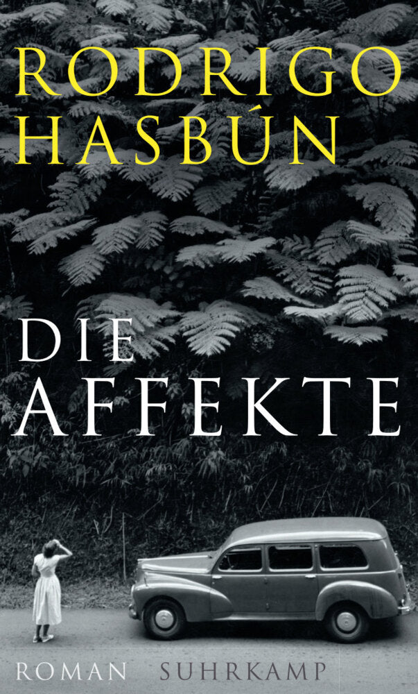 Die Affekte (Rodrigo Hasbun)