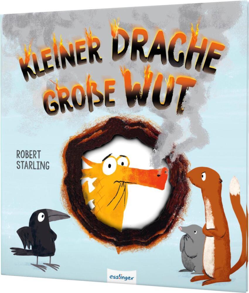 Kleiner Drache Finn: Kleiner Drache - große Wut (Robert Starling)