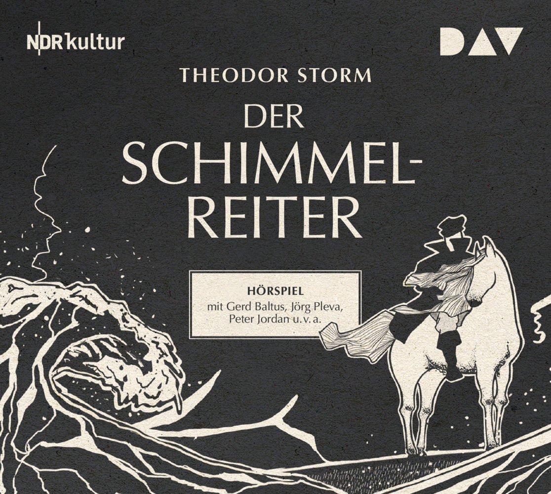 Der Schimmelreiter, 1 Audio-CD (Theodor Storm)