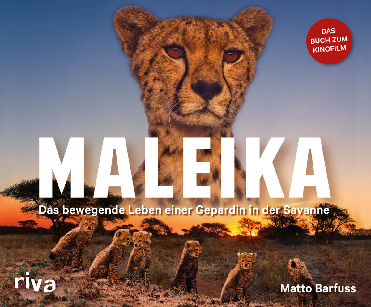 Maleika (Matto Barfuss)