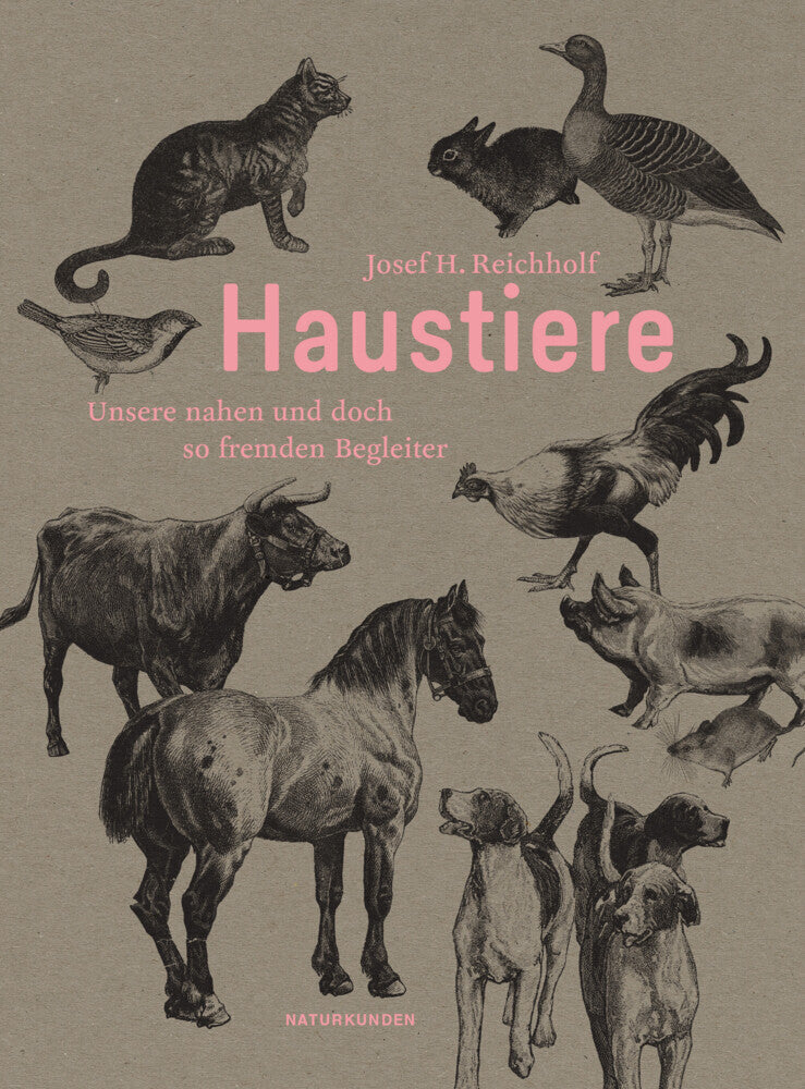 Haustiere (Josef H. Reichholf)