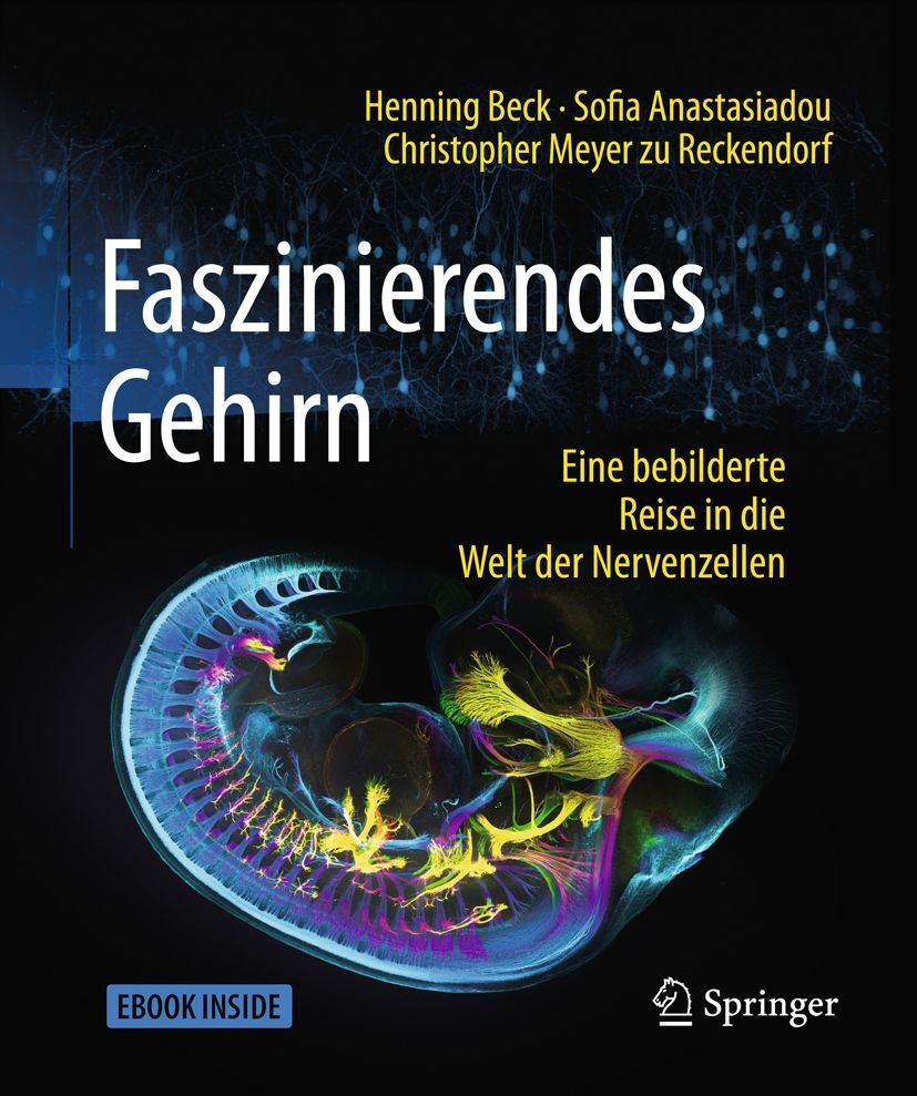 Faszinierendes Gehirn (Henning Beck)