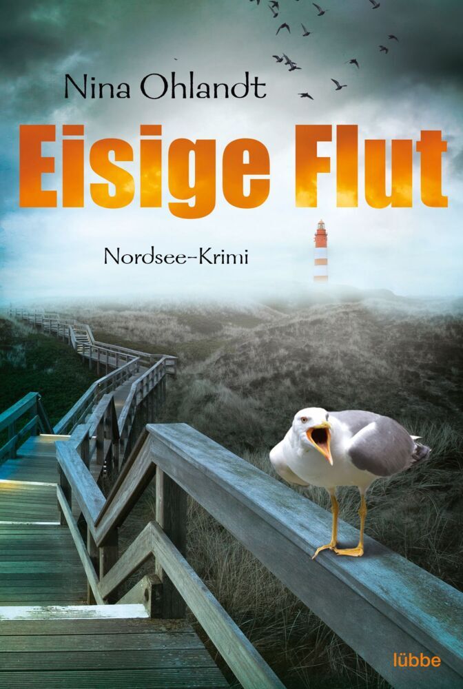 Eisige Flut (Nina Ohlandt)