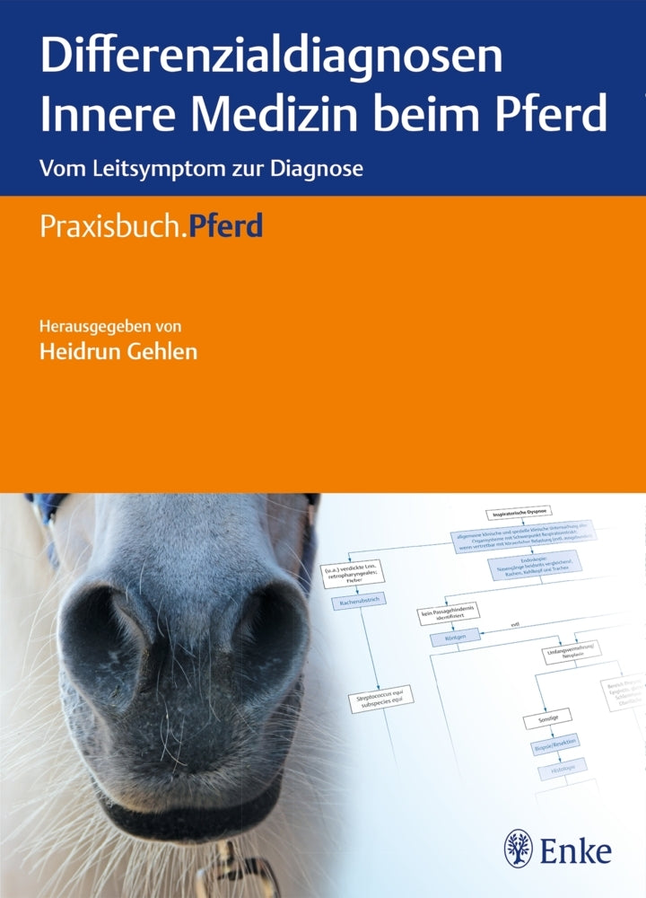 Differenzialdiagnosen Innere Medizin beim Pferd (Heidrun Gehlen)