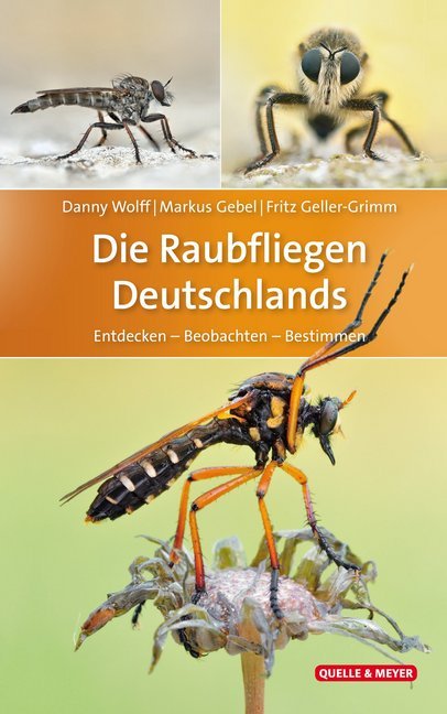 Die Raubfliegen Deutschlands (Danny Wolff)