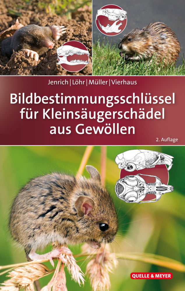 Bildbestimmungsschlüssel für Kleinsäugerschädel aus Gewöllen (Joachim Jenrich)