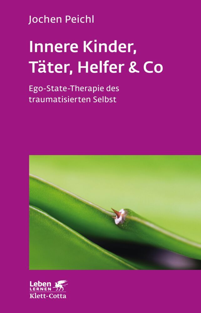 Innere Kinder, Täter, Helfer & Co (Leben Lernen, Bd. 202) (Jochen Peichl)