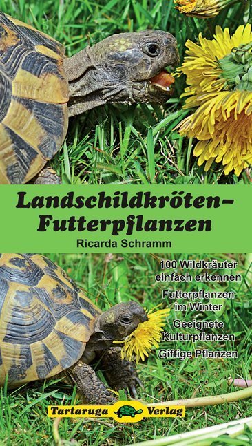 Landschildkröten-Futterpflanzen (Ricarda Schramm)
