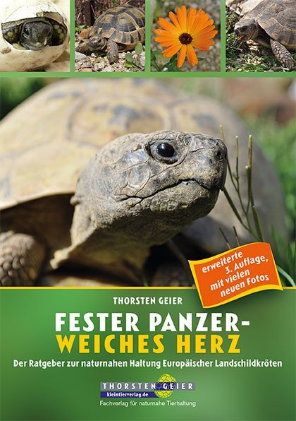 Fester Panzer - weiches Herz (Thorsten Geier)