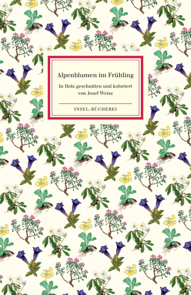 Alpenblumen im Frühling