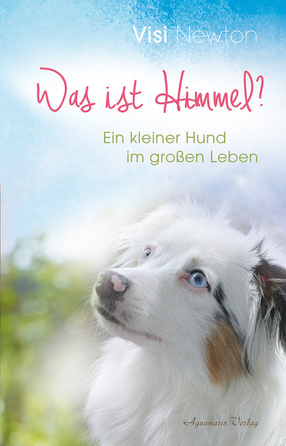 Was ist Himmel? (Visi Newton)