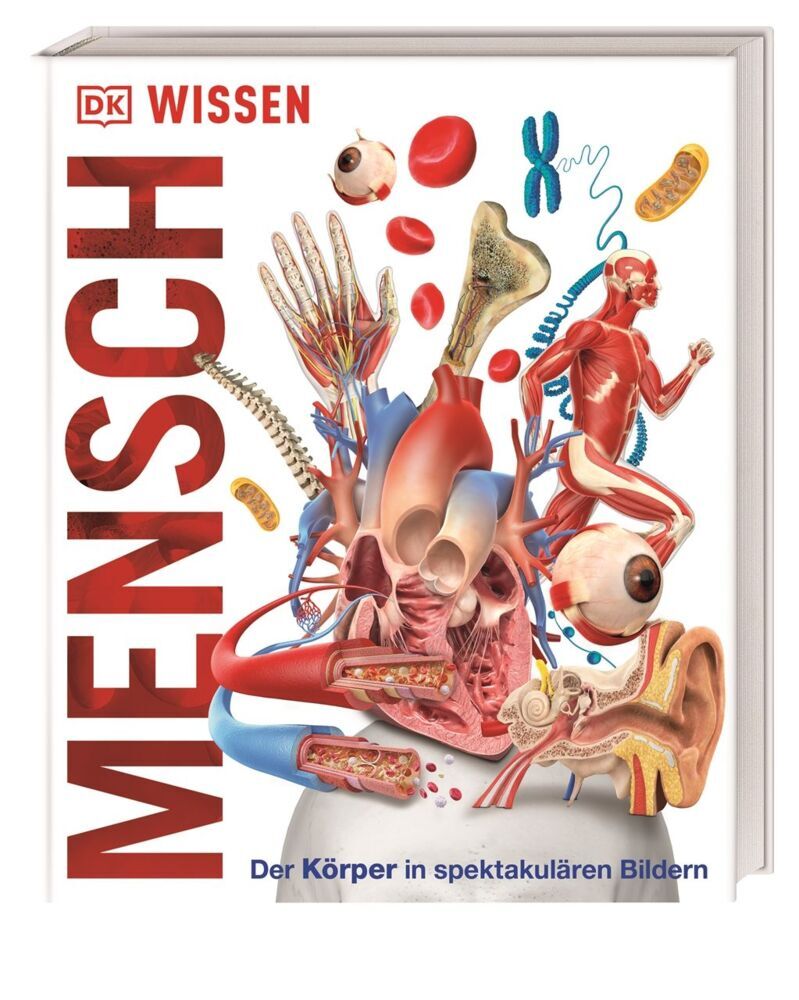 DK Wissen. Mensch (Dk Verlag - Kids)