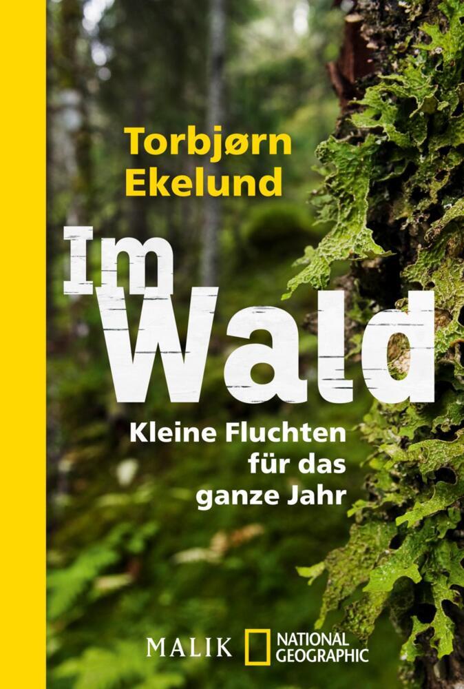 Im Wald (Torbjørn Ekelund)