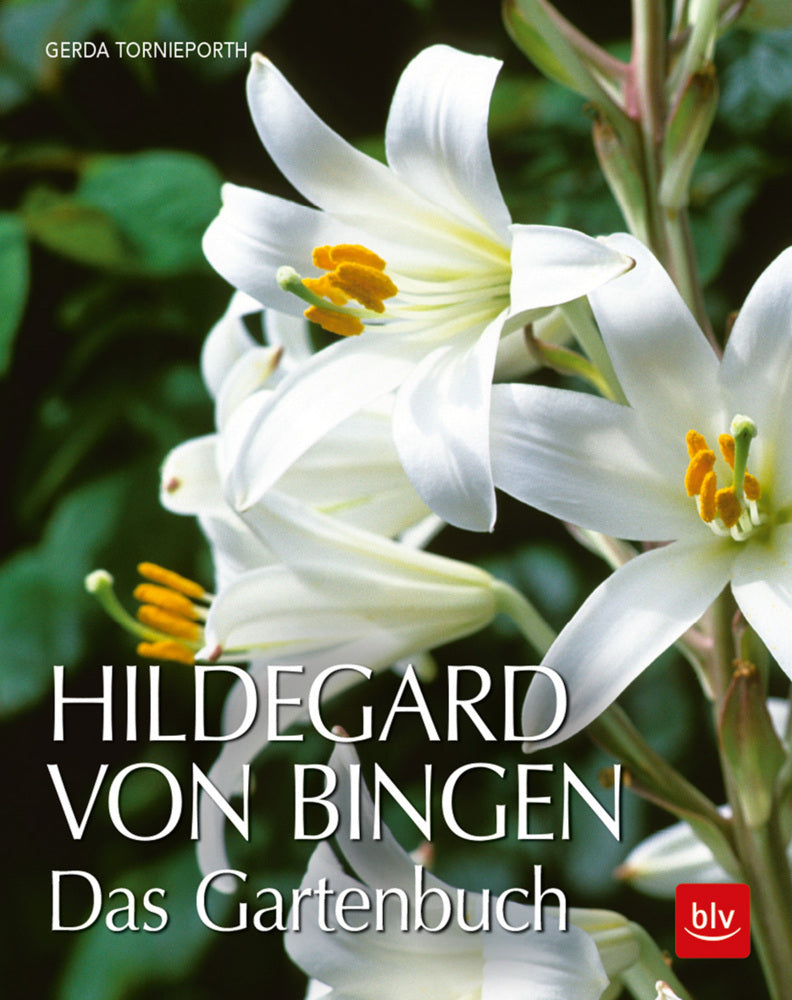 Hildegard von Bingen (Gerda Tornieporth)