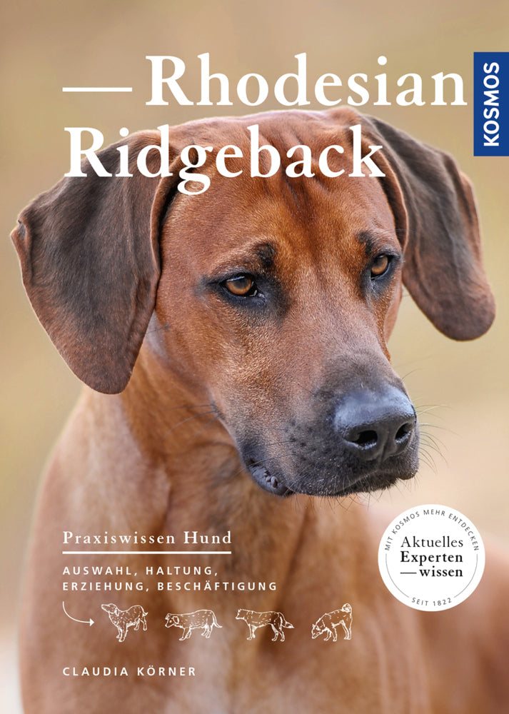 Rhodesian Ridgeback (Claudia Körner)