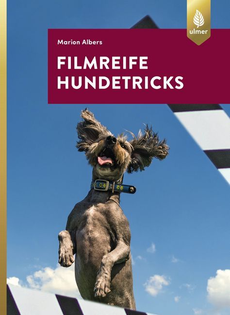 Filmreife Hundetricks (Marion Albers)