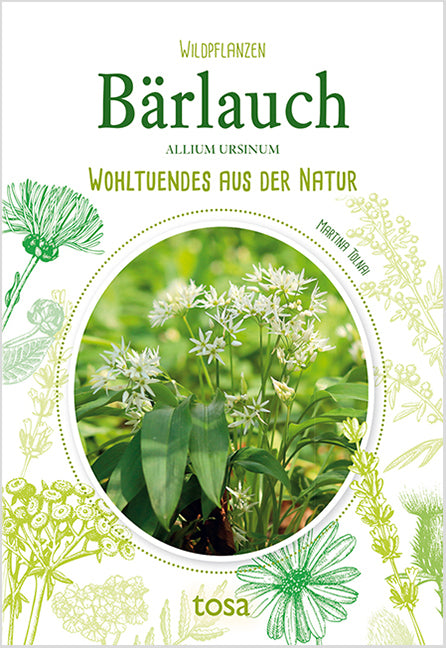 Bärlauch - Allium Ursinum (Martina Tolnai)