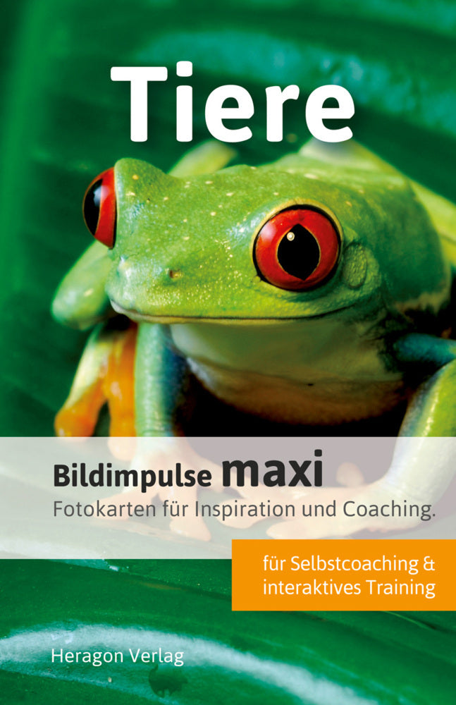 Bildimpulse maxi: Tiere (Bodo Pack)