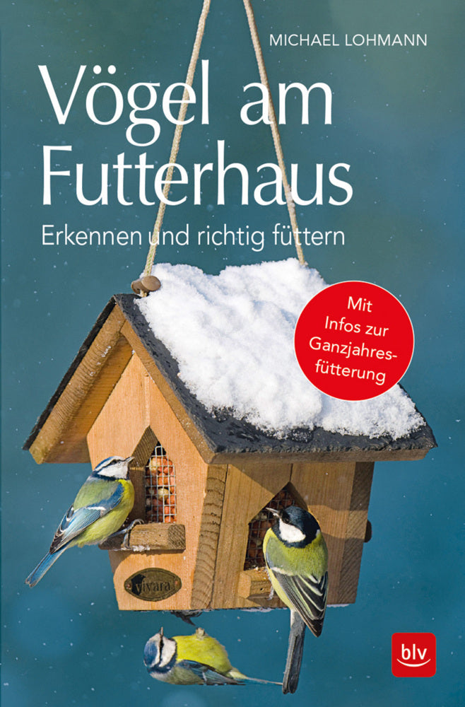 Vögel am Futterhaus (Michael Lohmann)