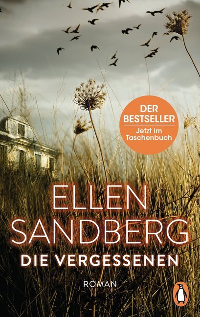 Die Vergessenen (Ellen Sandberg)