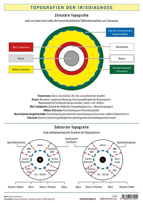 Topografien der Irisdiagnose, Poster (Friedemann Garvelmann)