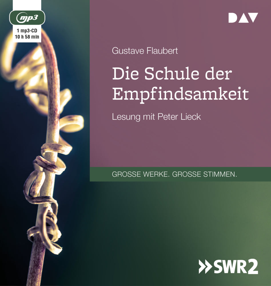 Die Schule der Empfindsamkeit, 1 Audio-CD, 1 MP3 (Gustave Flaubert)