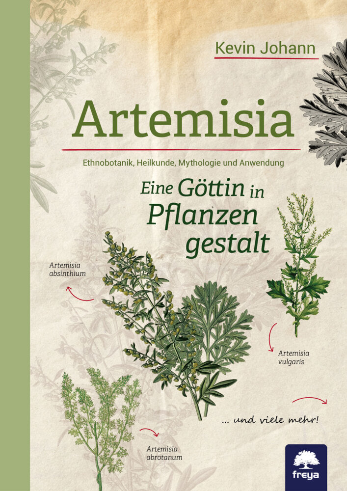 Artemisia (Kevin Johann)