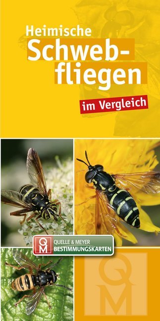 Heimische Schwebfliegen, Bestimmungskarten (Quelle & Meyer Verlag)