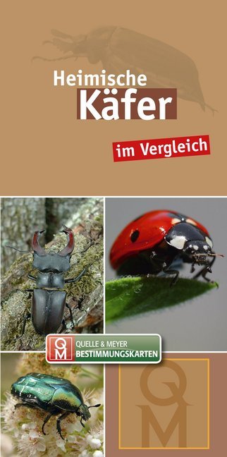 Heimische Käfer, Bestimmungkarten (Quelle & Meyer Verlag)
