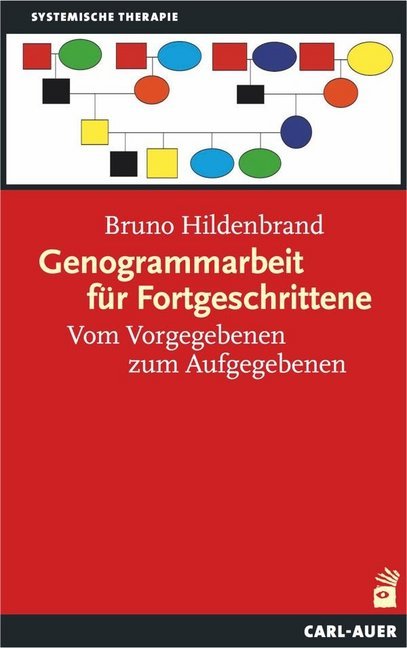 Genogrammarbeit für Fortgeschrittene (Bruno Hildenbrand)