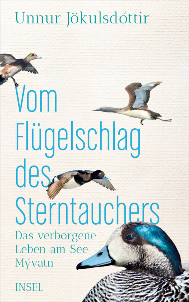 Vom Flügelschlag des Sterntauchers (Unnur Jökulsdóttir)