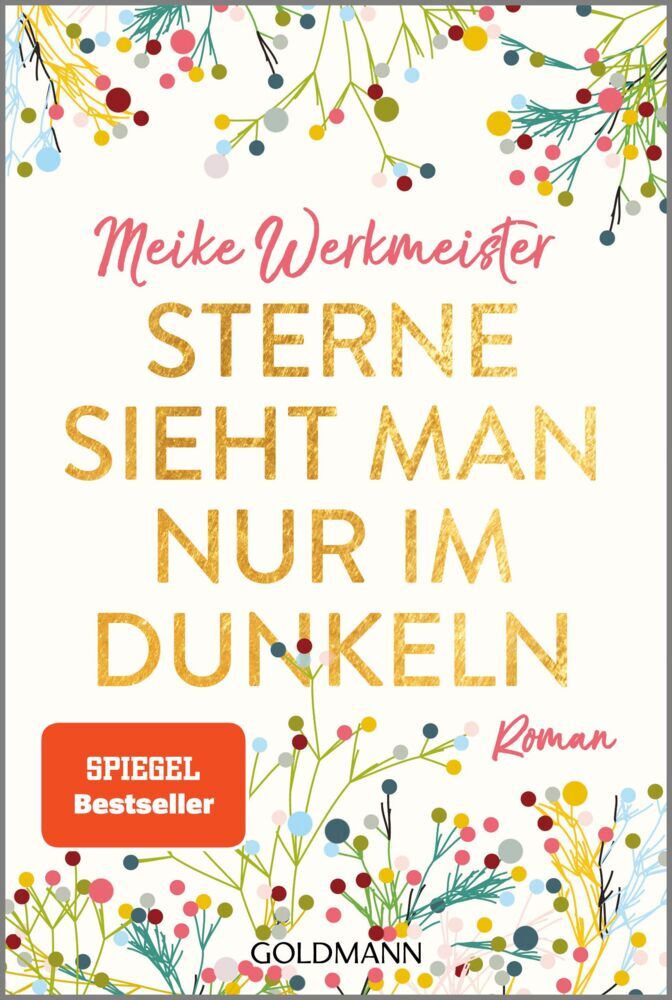 Sterne sieht man nur im Dunkeln (Meike Werkmeister)