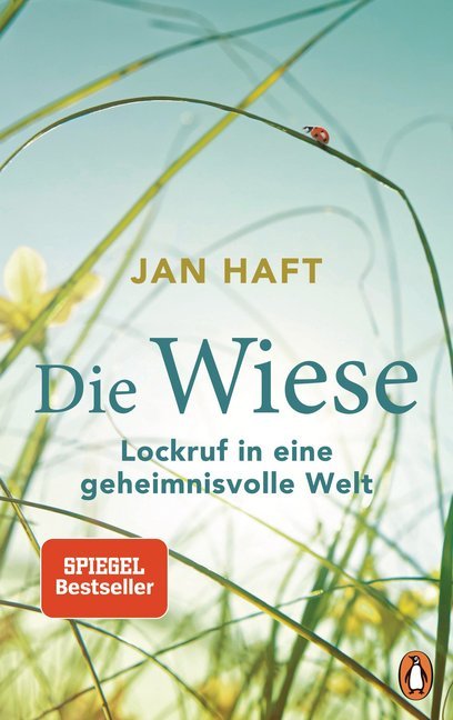 Die Wiese (Jan Haft)