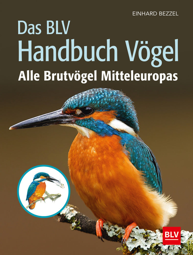Das BLV Handbuch Vögel (Einhard Bezzel)