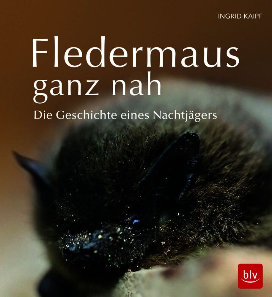 Fledermaus ganz nah (Ingrid Kaipf)