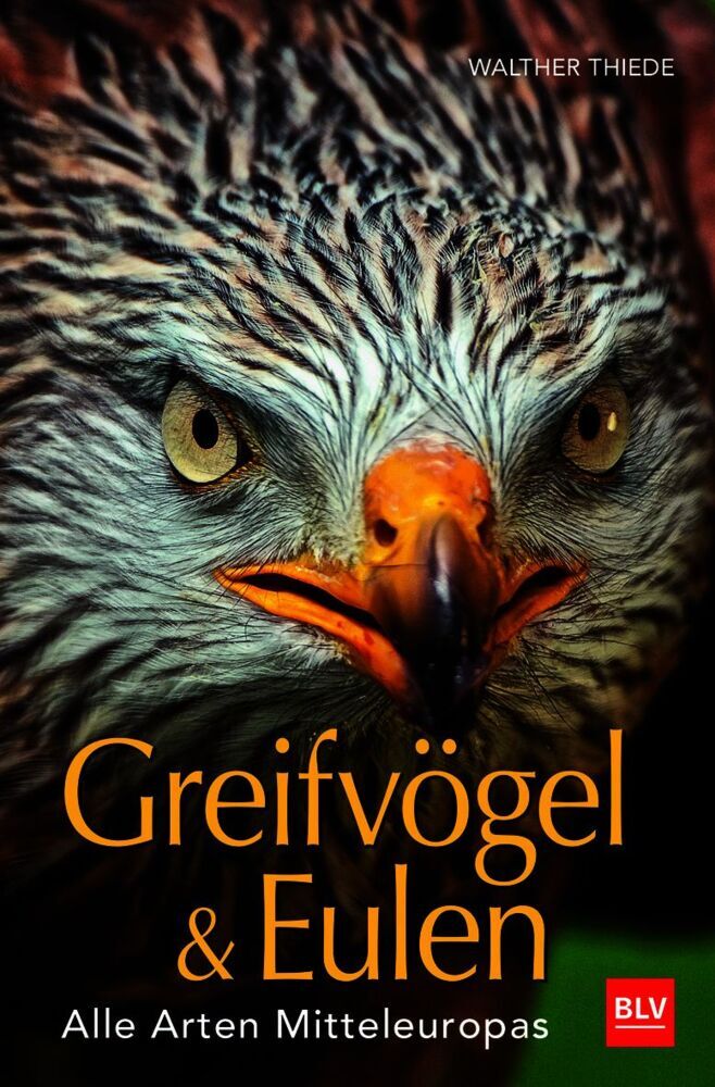Greifvögel & Eulen (Walther Thiede)