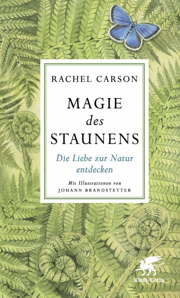 Magie des Staunens (Rachel Carson)