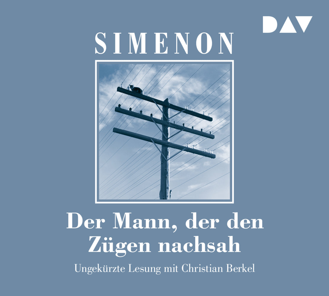 Der Mann, der den Zügen nachsah, 5 Audio-CDs (Georges Simenon)
