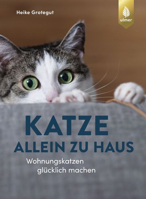 Katze allein zu Haus (Heike Grotegut)