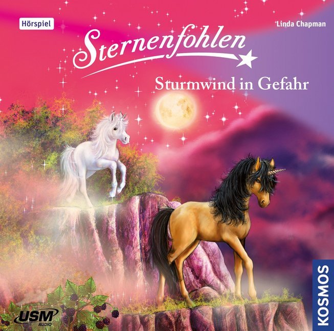 Sternenfohlen - Sturmwind in Gefahr, 1 Audio-CD (Linda Chapman)