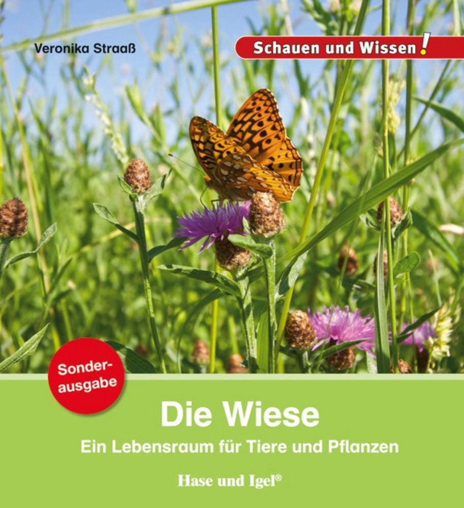 Die Wiese (Veronika Straaß)