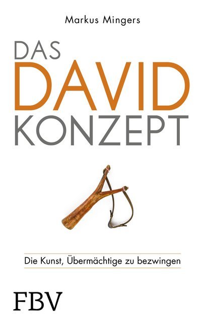 Das David-Konzept (Markus Mingers)