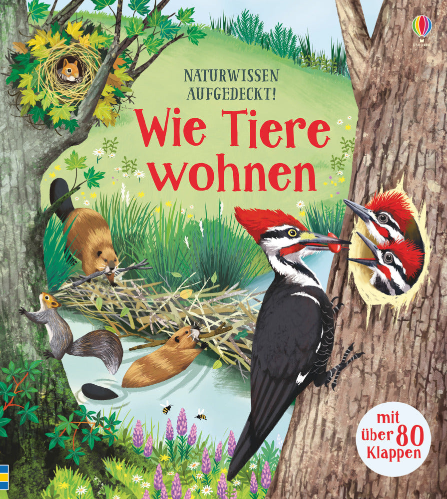 Naturwissen aufgedeckt! - Wie Tiere wohnen (Emily Bone)