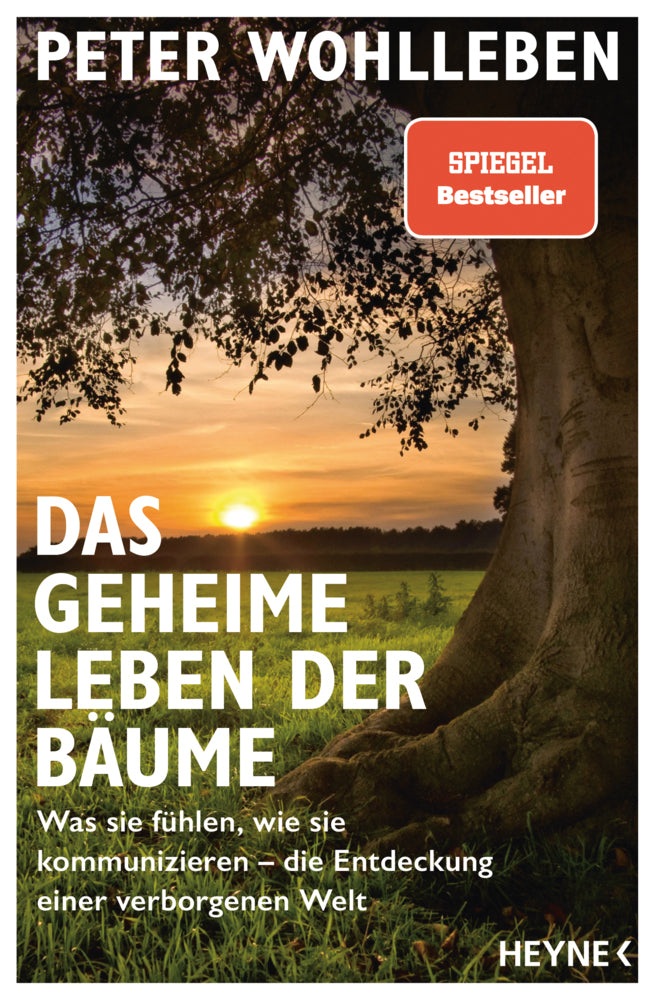 Das geheime Leben der Bäume (Peter Wohlleben)