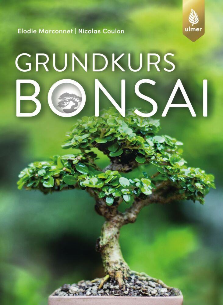 Grundkurs Bonsai (Elodie Marconnet)