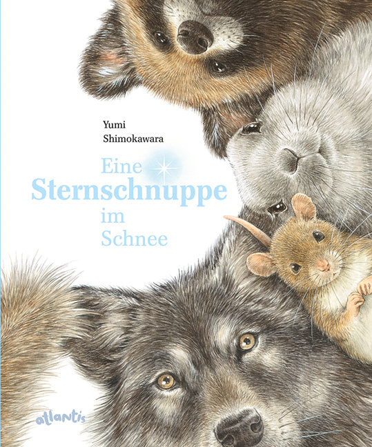 Eine Sternschnuppe im Schnee (Yumi Shimokawara)