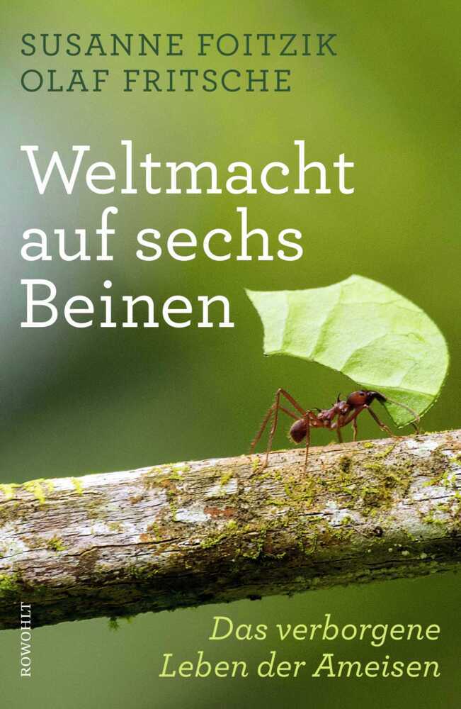 Weltmacht auf sechs Beinen (Susanne Foitzik)