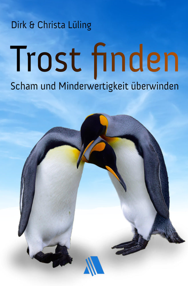 Trost finden (Dirk Lüling)