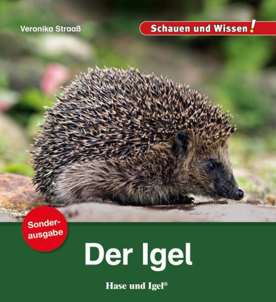 Der Igel (Veronika Straaß)